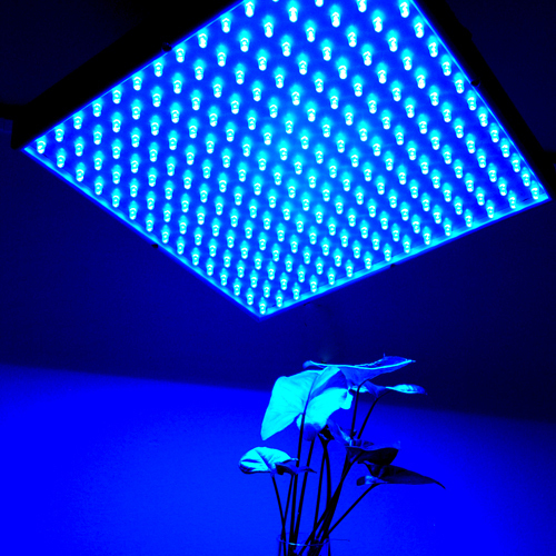 синя LED светлина