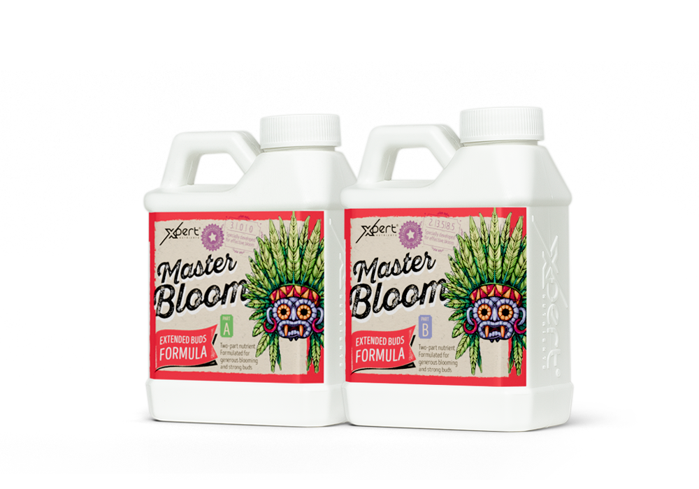 Master Bloom