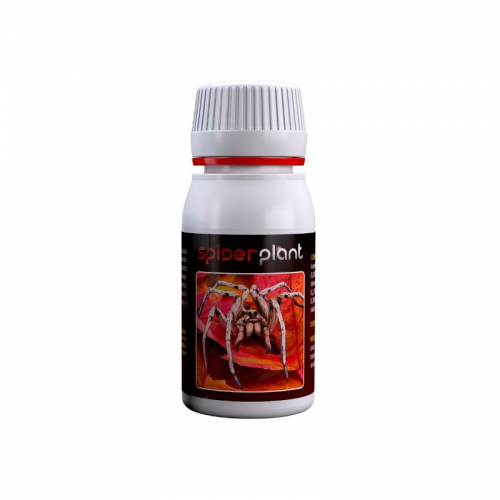 Spider Plant 60ml - инсектицид против акари