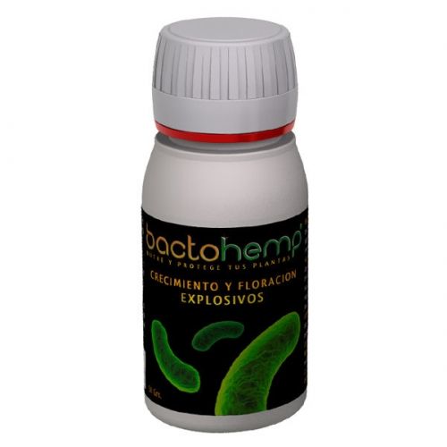 Bactochemp 50gr 