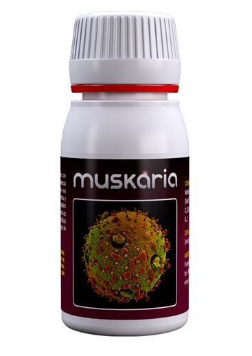 Muskaria 60ml
