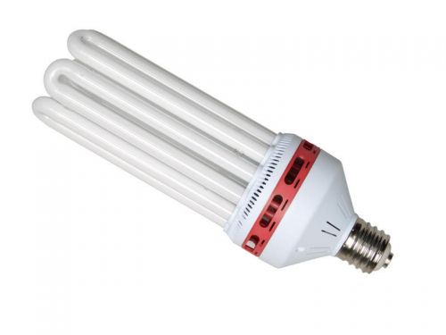 Compact CFL 150W Red - Flowering lamp