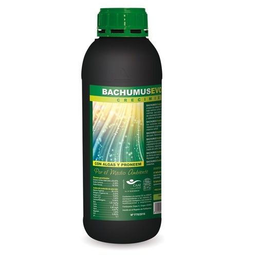 Bachumus evolution crecimiento 1L