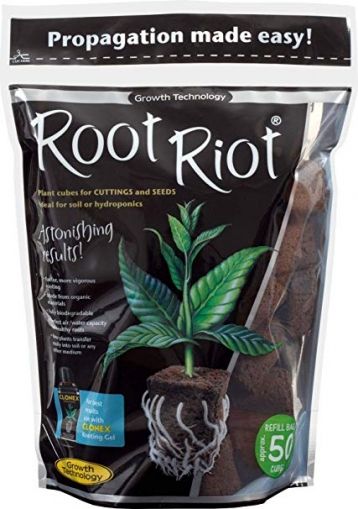 Root Riot 50pcs propagation blocks