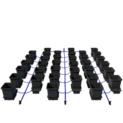 36pot System - system NO flexitank