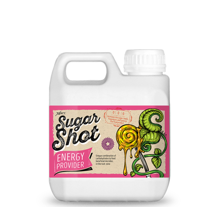 Xpert Sugar Shot - carbohydrate supplement 1L