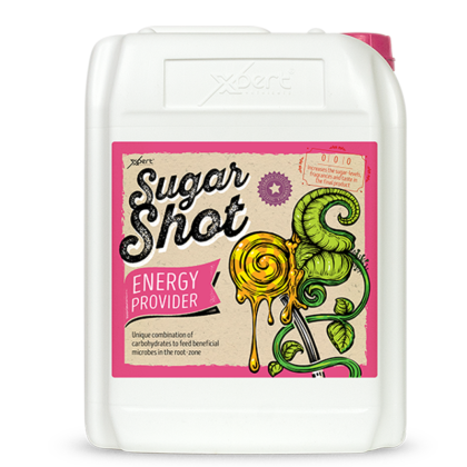 Sugar Shot - Energy Provider & Carbohydrate Supplement Xpert Nutrients