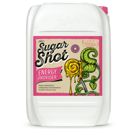 Sugar Shot - Energy Provider & Carbohydrate Supplement Xpert Nutrients