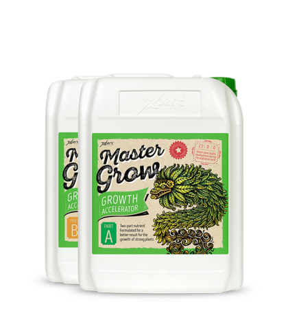 Master Grow A+B - Two-Component Vegetative Nutrient Xpert Nutrients