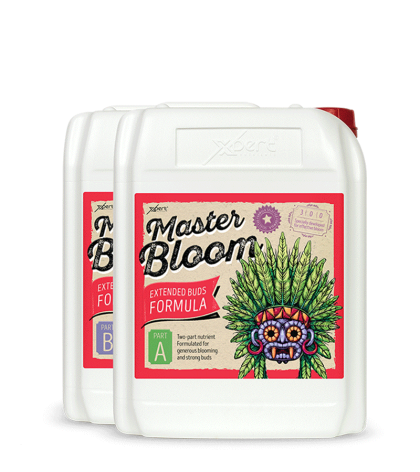 Master Bloom A+B - Two-Component Flowering Nutrient Xpert Nutrients