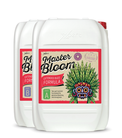 Master Bloom A+B - Two-Component Flowering Nutrient Xpert Nutrients