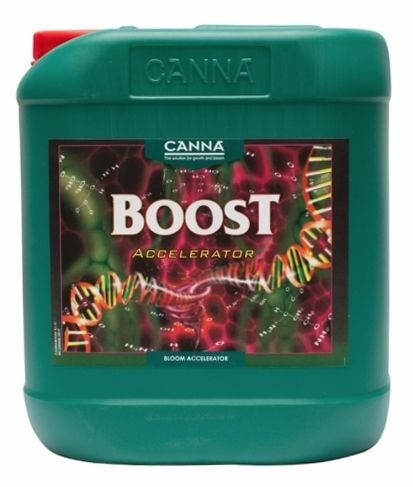 CANNA Boost Accelerator 