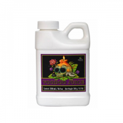 Voodoo Juice – Root Mass Expander with Beneficial Bacteria – Advanced Nutrients