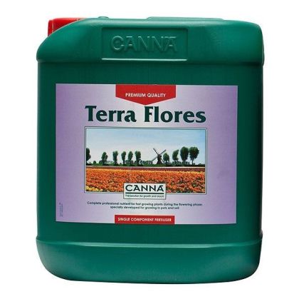  Terra Flores 