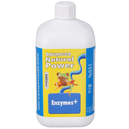 Enzymes+ 