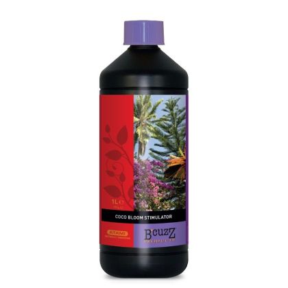 B'cuzz Coco Bloom Stimulator 
