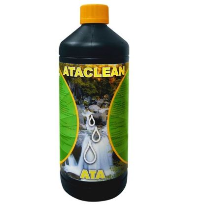 ATA CLEAN