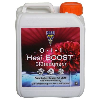 Hesi Boost