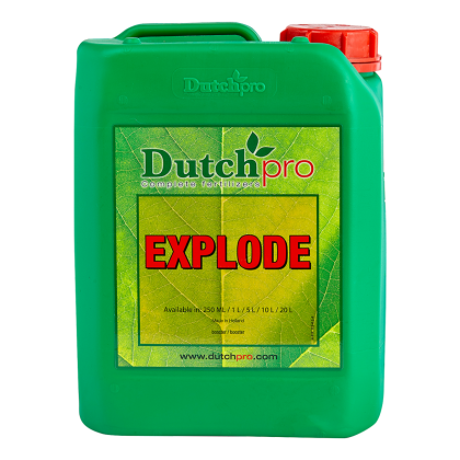 DutchPro Explode - Цъфтежен стимулатор