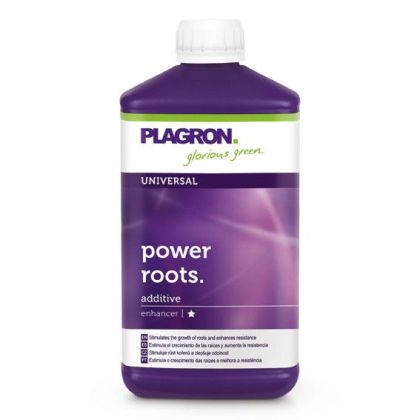 Power Roots 