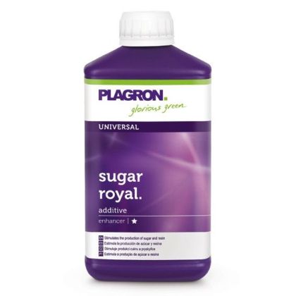 Sugar Royal 