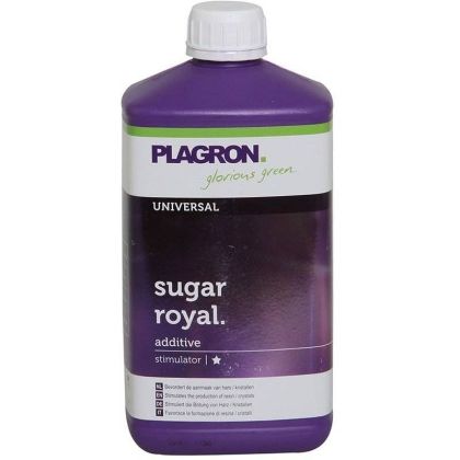 Sugar Royal 