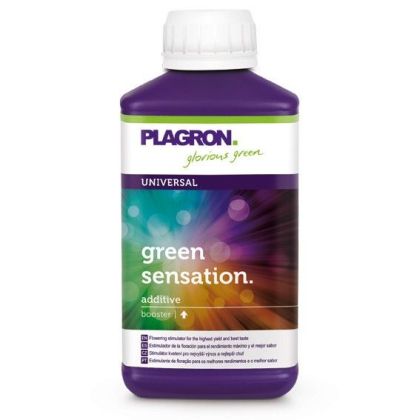 Green Sensation 