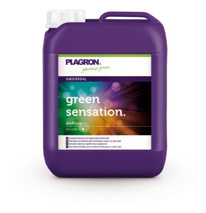 Green Sensation 