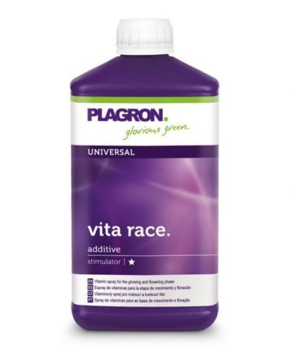 Vita Race 