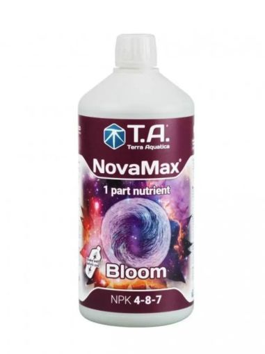 NovaMax Bloom