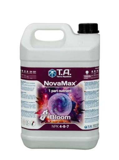 NovaMax Bloom