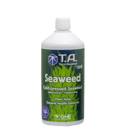 SeaWeed