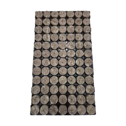 Speedgrow  Tray with 84 sockets and mineral wool blocks