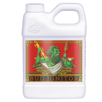 Bud Ignitor 