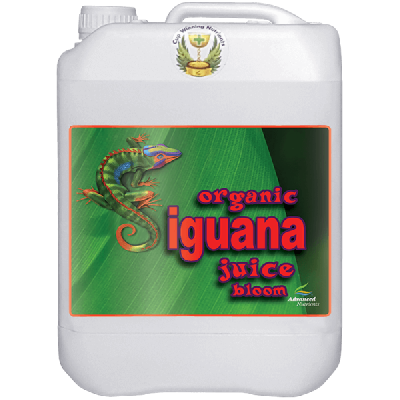 Iguana Juice Bloom 
