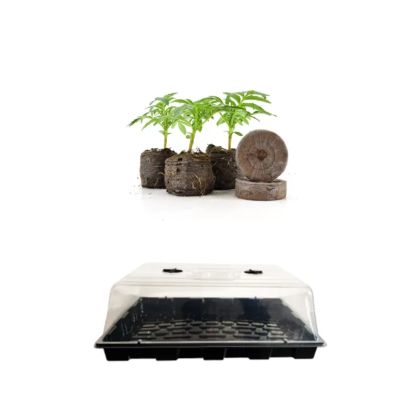 Neptune Seedling Kit - Propagator, Tray with 104 Peat Block Nests