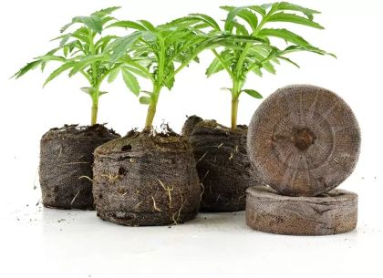 Jiffy 44mm- Pellets 1 pc. - germination pellet