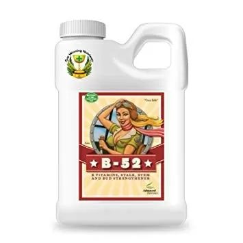 B-52 – Vitamin Complex for Energy and Stress Protection – Advanced Nutrients