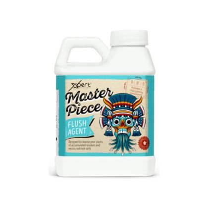 Master Piece – Professional Finishing & Flushing Solution