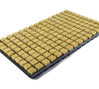 Grodan / Cultilene TRAY - Rockwool Cubes Propagation Tray