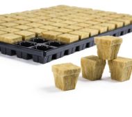 Grodan / Cultilene TRAY - Rockwool Cubes Propagation Tray