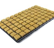 Grodan / Cultilene TRAY - Rockwool Cubes Propagation Tray
